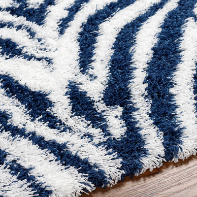 Chaim Blue Zebra Print Shag Area Rug