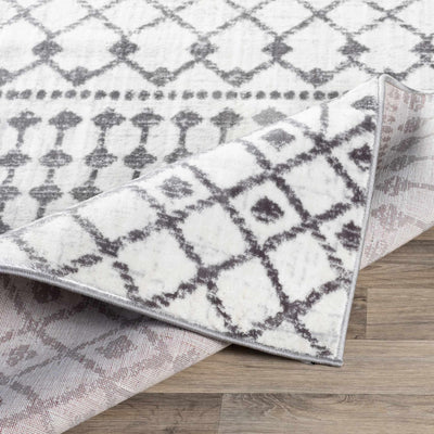 Chanhassen White/Charcoal Trellis Rug - Clearance