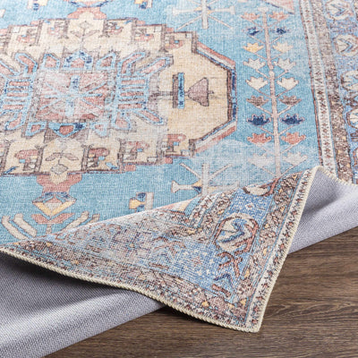 Chiseldon Washable Area Rug - Clearance