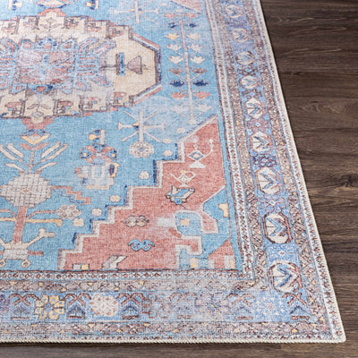 Chiseldon Washable Area Rug - Clearance