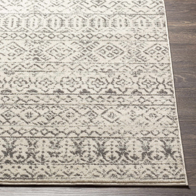 Chambrey Area Rug - Clearance