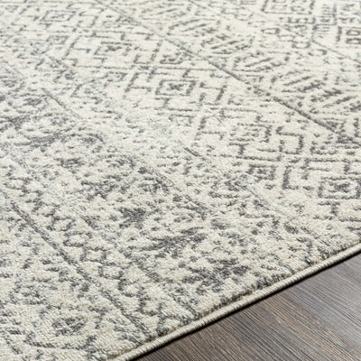 Chambrey Area Rug - Clearance