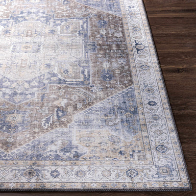 Chappaqua Distressed Thin Rug - Clearance