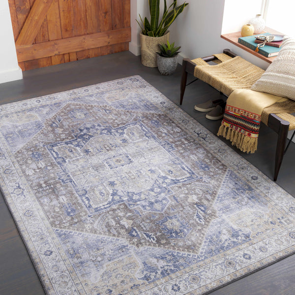 Chappaqua Distressed Thin Rug - Clearance