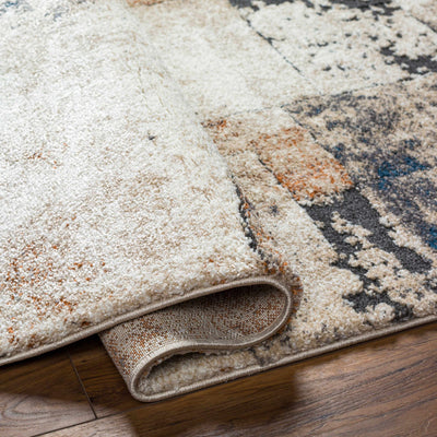 Chitt Area Rug