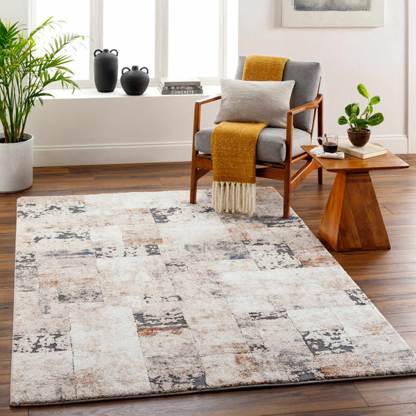 Chitt Area Rug