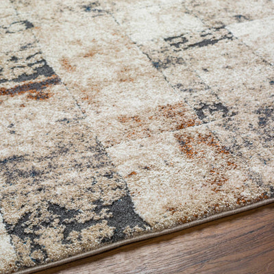 Chitt Area Rug