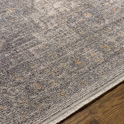 Akio Gray Area Rug - Promo