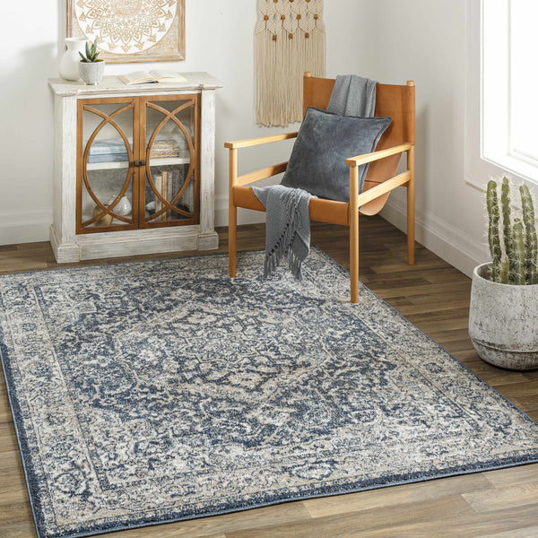 Sturt Gray Traditional Area Rug - Clearance