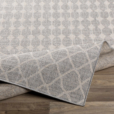 Ivory Gray Summit Area Rug - Clearance