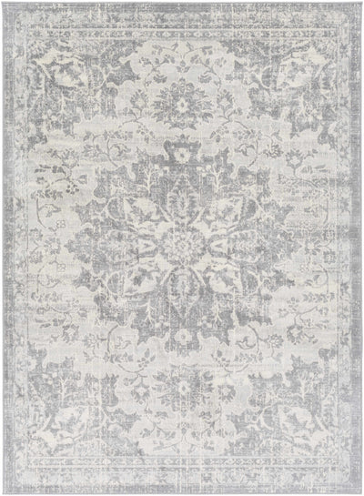 Colonie Area Rug