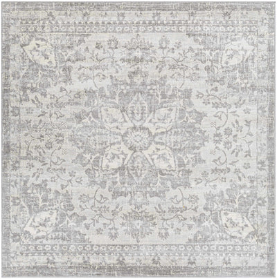 Colonie Area Rug