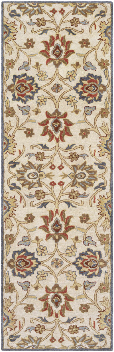 Conesus Hand Tufted Blue & Rust 1204 Area Rug