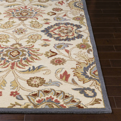 Conesus Hand Tufted Blue & Rust 1204 Area Rug