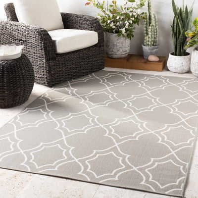 Coalgood Area Rug - Clearance