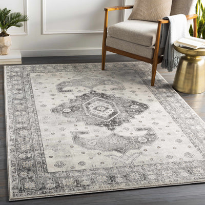 Congress Area Rug - Clearance