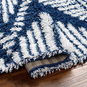 Conor Navy Blue Shag Area Rug