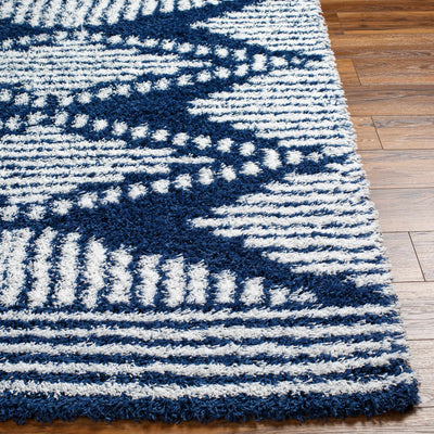 Conor Navy Blue Shag Area Rug