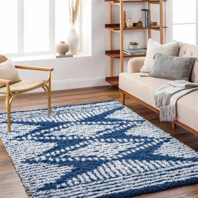 Conor Navy Blue Shag Area Rug