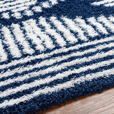 Conor Navy Blue Shag Area Rug