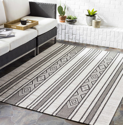 Cowen Tribal Performance Rug - Clearance