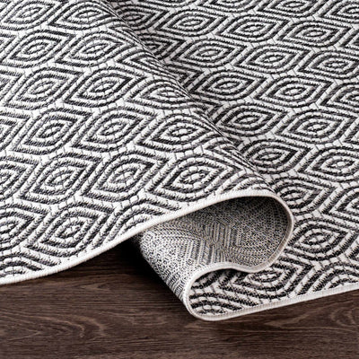 Crafers Indoor & Outdoor Rug - Clearance