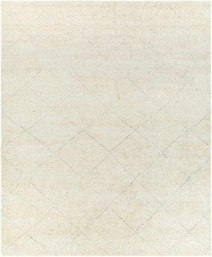 Caramoran Area Rug - Clearance