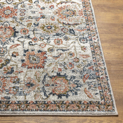 Castleknock Traditional Area Rug - Clearance