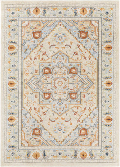 Dalkey 5x7 Area Rug - Clearance