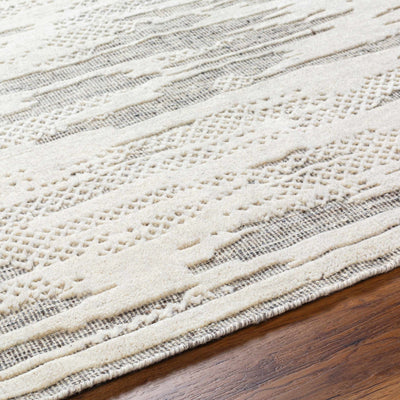 Damek 8x10 Neutral Premium Wool Area Rug