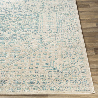 Dayville Area Rug - Clearance