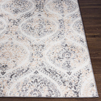 Delmar Area Rug - Clearance