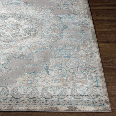 Demiryol Area Rug - Clearance