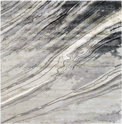 Dentsville Gray Marble Rug - Promo