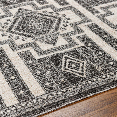 Deon Area Rug