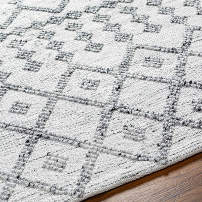 Dima Area Rug