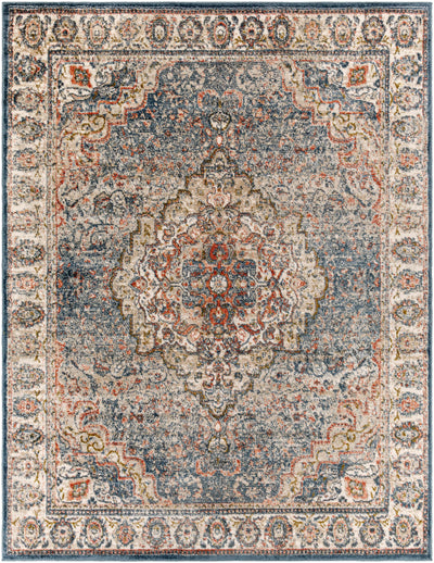 Dimaluna Area Rug - Clearance