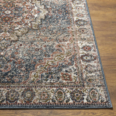 Dimaluna Area Rug - Clearance