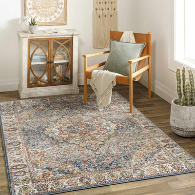 Dimaluna Area Rug - Clearance