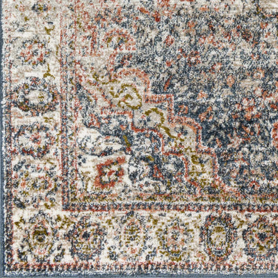 Dimaluna Area Rug - Clearance