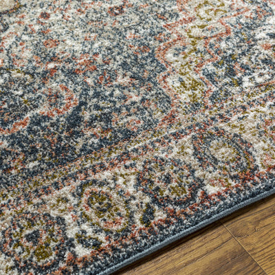 Dimaluna Area Rug - Clearance