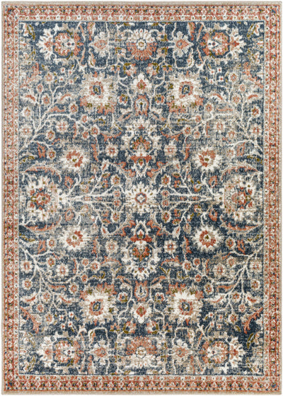 Dinahican Traditional Area Rug - Clearance