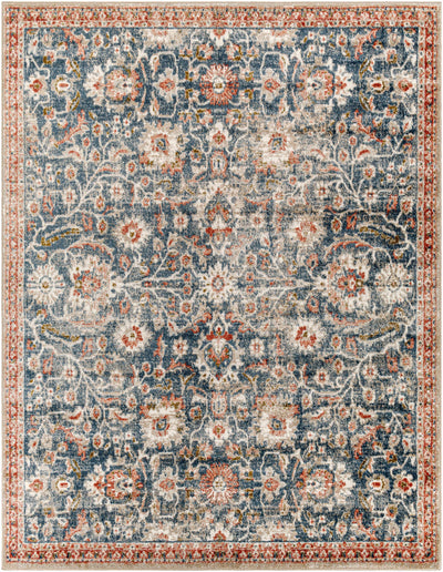 Dinahican Traditional Area Rug - Clearance