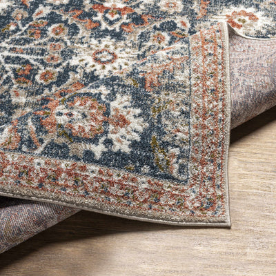 Dinahican Traditional Area Rug - Clearance