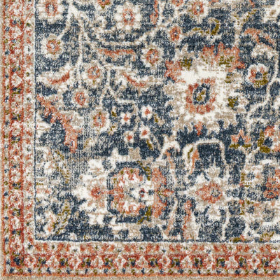 Dinahican Traditional Area Rug - Clearance