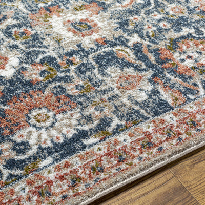 Dinahican Traditional Area Rug - Clearance