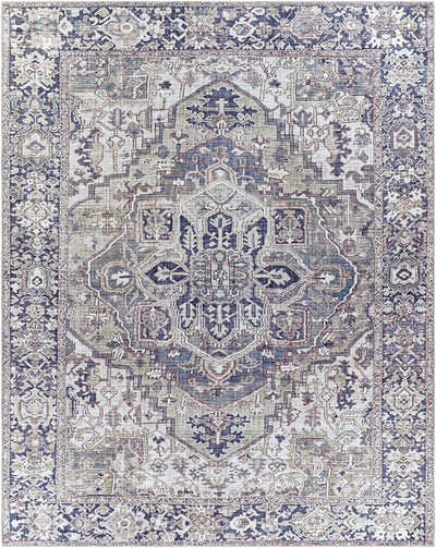 Neyland Iris Gray Area Rug 2359