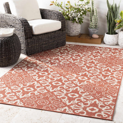 Dunoon Area Rug - Clearance