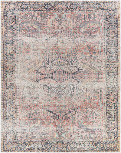 Dunsha Distressed Washable Area Rug - Clearance