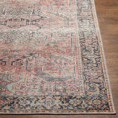 Dunsha Distressed Washable Area Rug - Clearance